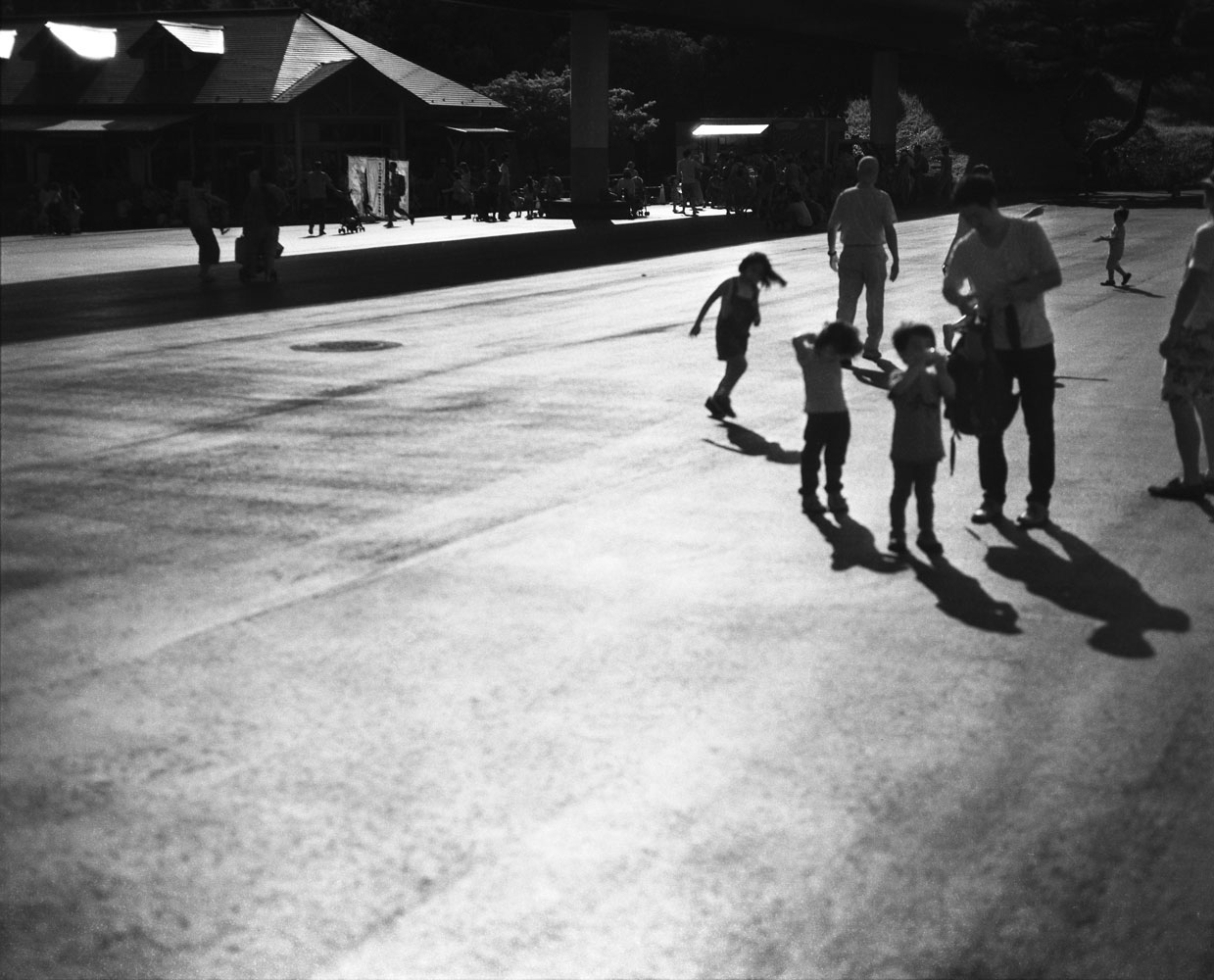 Shadows of Light